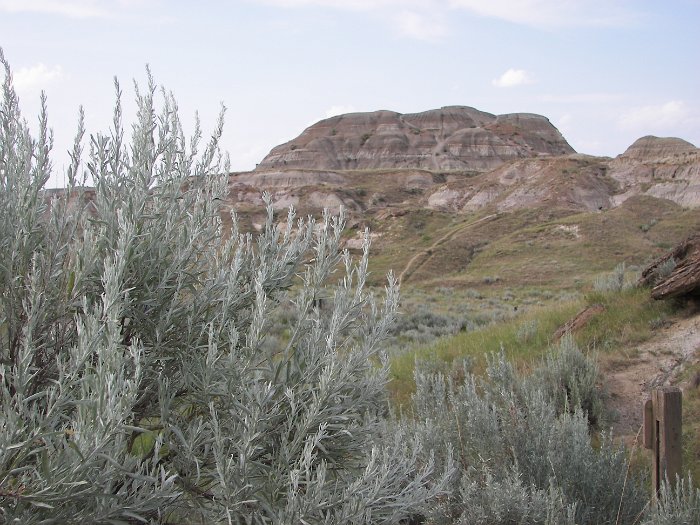 Kanada 2007 Dino (27)